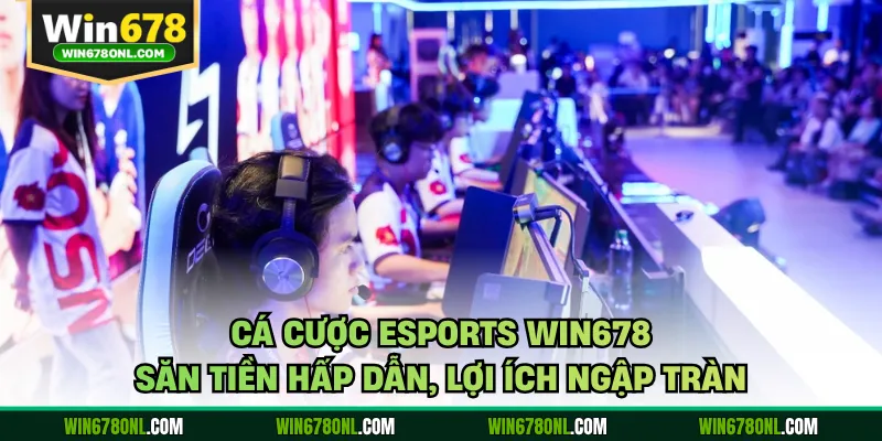Cá Cược Esports WIN678 - Săn Tiền Hấp Dẫn, Lợi Ích Ngập Tràn 1 Cá Cược Esports WIN678 - Săn Tiền Hấp Dẫn, Lợi Ích Ngập Tràn
