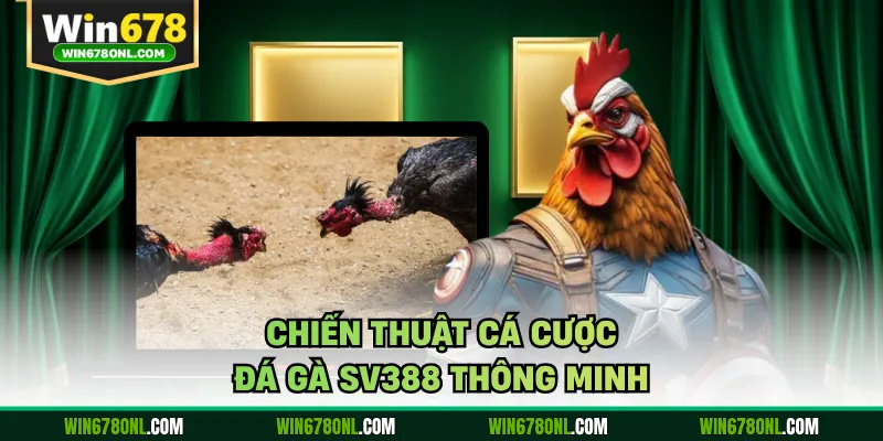 Luật Chơi Đá Gà Sv388 Tại Win678 Cho Người Mới 4 Chiến thuật cá cược đá gà SV388 thông minh