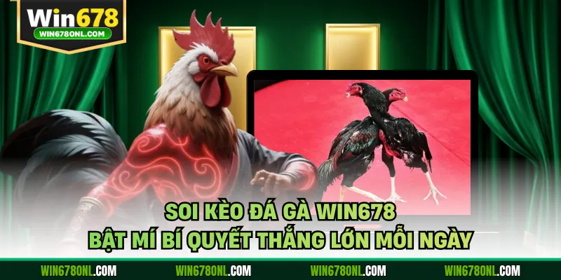 Soi Kèo Đá Gà WIN678 - Bật Mí Bí Quyết Thắng Lớn Mỗi Ngày 1 Soi Kèo Đá Gà WIN678 - Bật Mí Bí Quyết Thắng Lớn Mỗi Ngày